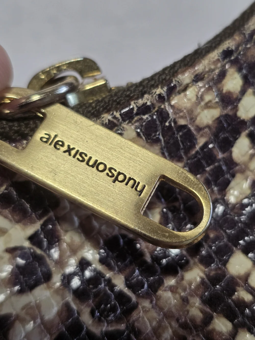 Alexis Hudson stylish snake